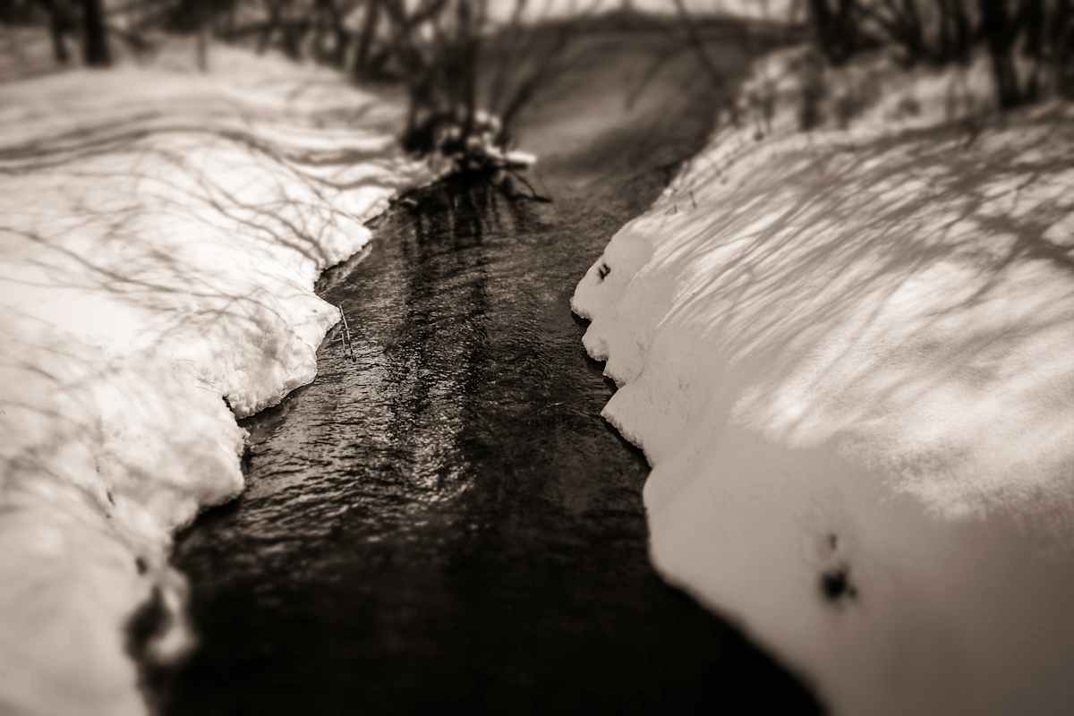 winter stream, Image 1.