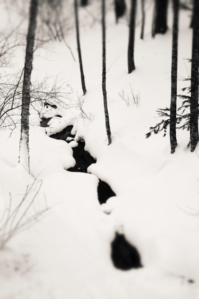 winter stream2 by Kelly Sinclair 