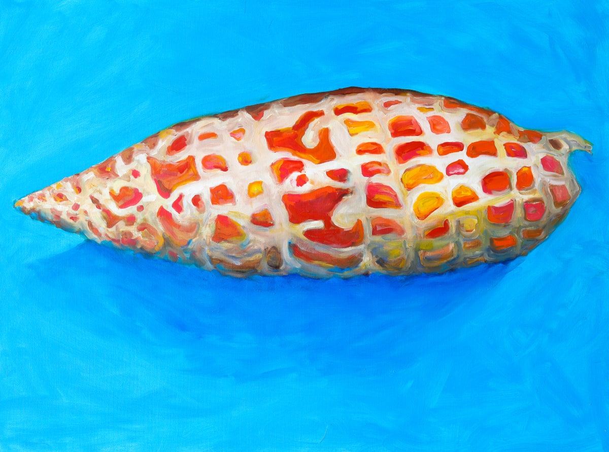 Complimentary Shell by Leslie K Lyon 