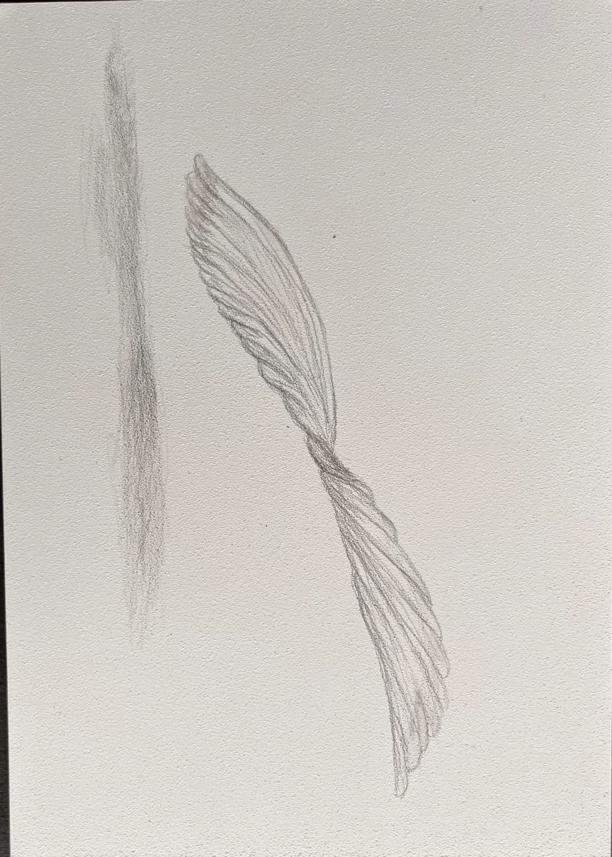 Victory's by Leslie Lyon 