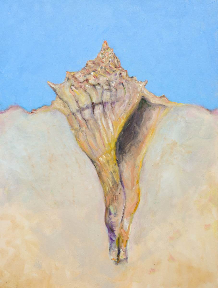 Seabrook Whelk, Image 3.