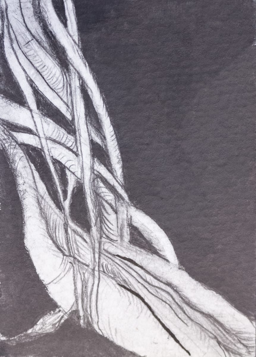 IMG_3398-3_dk8bzq_18 by Leslie K Lyons 