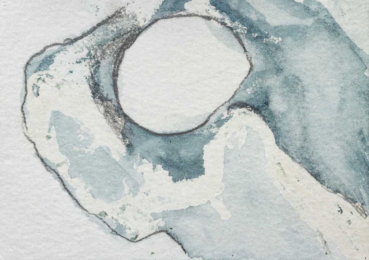 IMG_3446-3_lxrdjf_8 by Leslie Lyon 