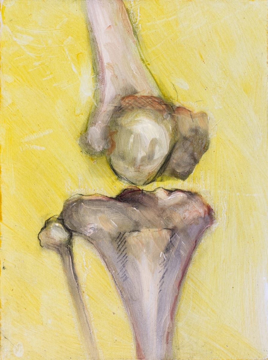 Trochlea by Leslie K Lyon 