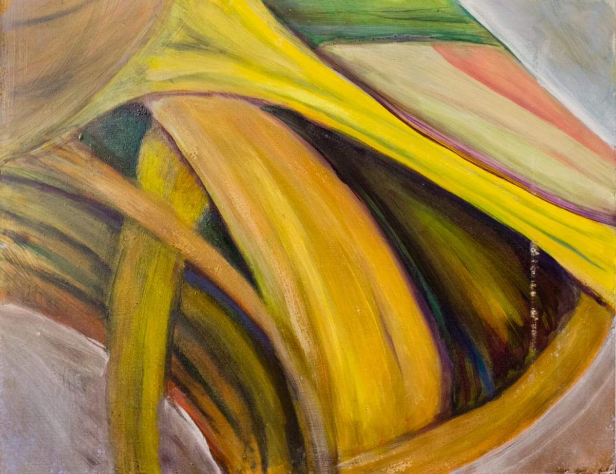 Zygomaticus Minor by Leslie K Lyons 