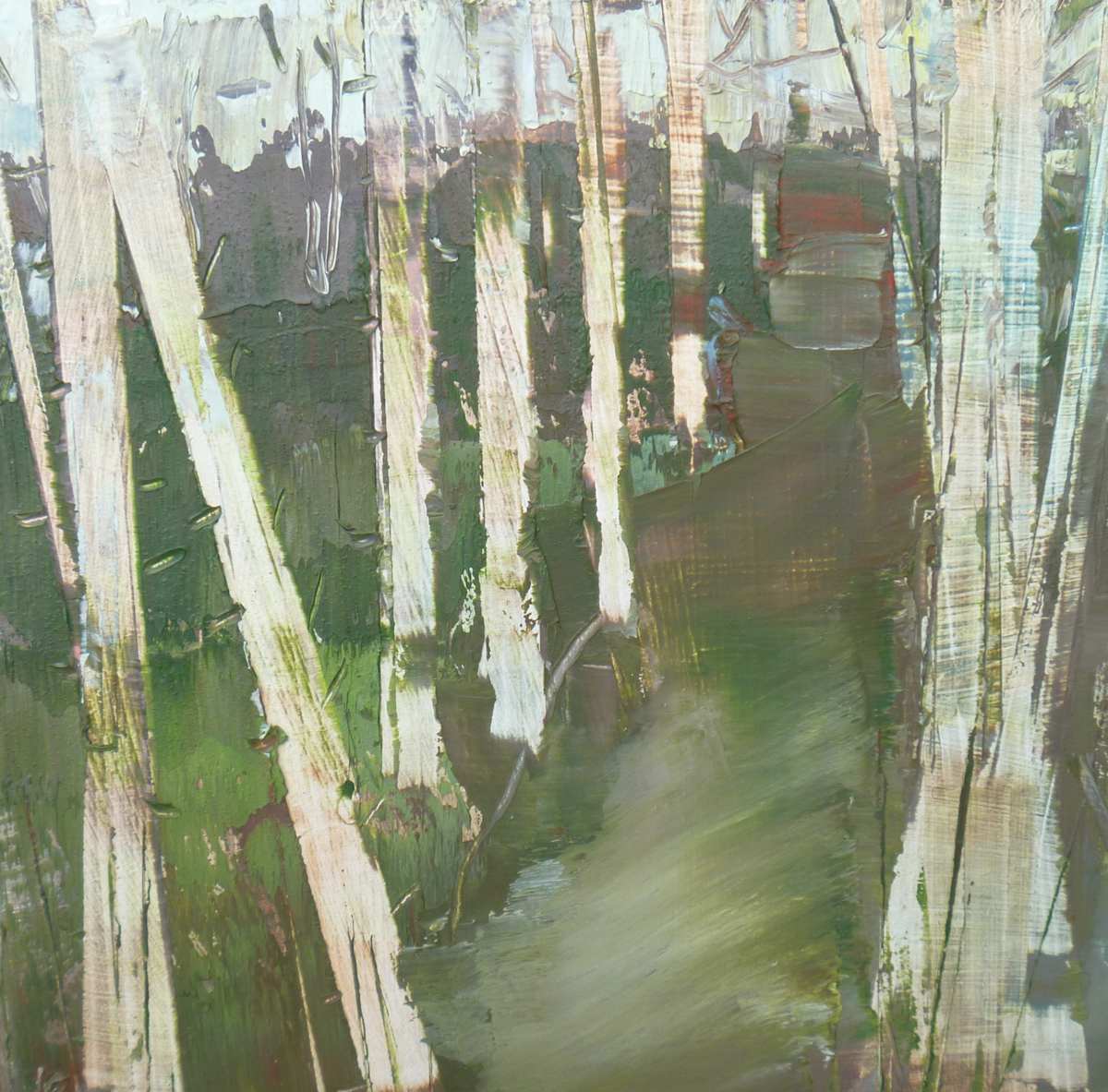 The Way through the Wood by Lesley Birch, Image 1.