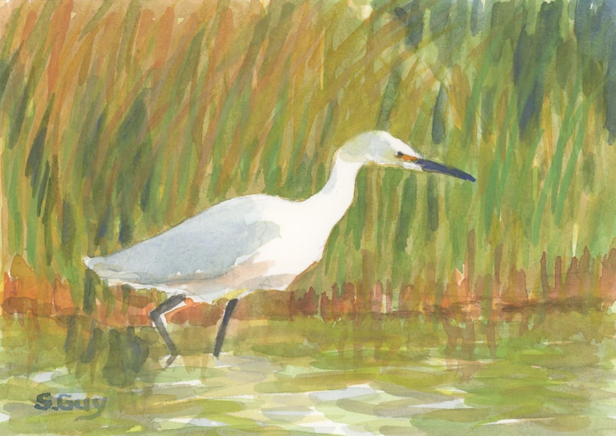 Morning Walk, Image 1.