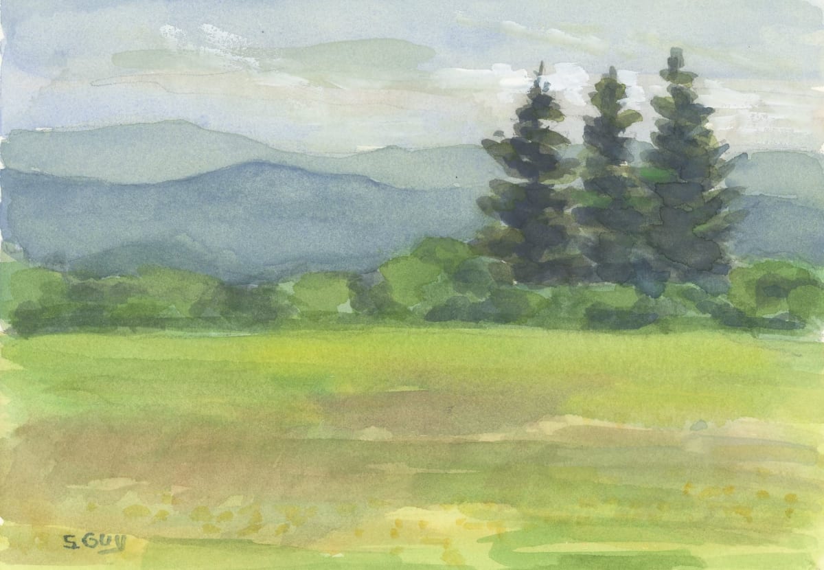 Summer Softness by Sharon Guy, Image 1.
