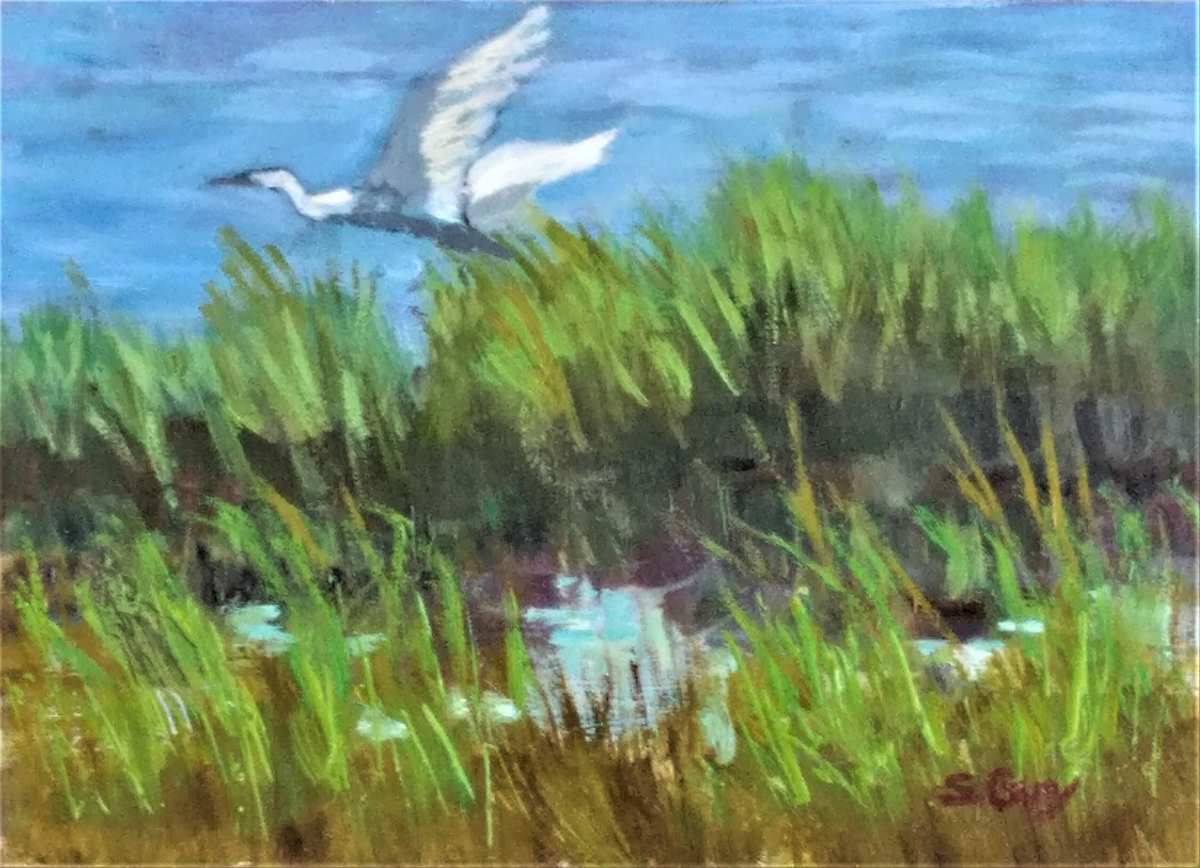 Wandering, Image 1.