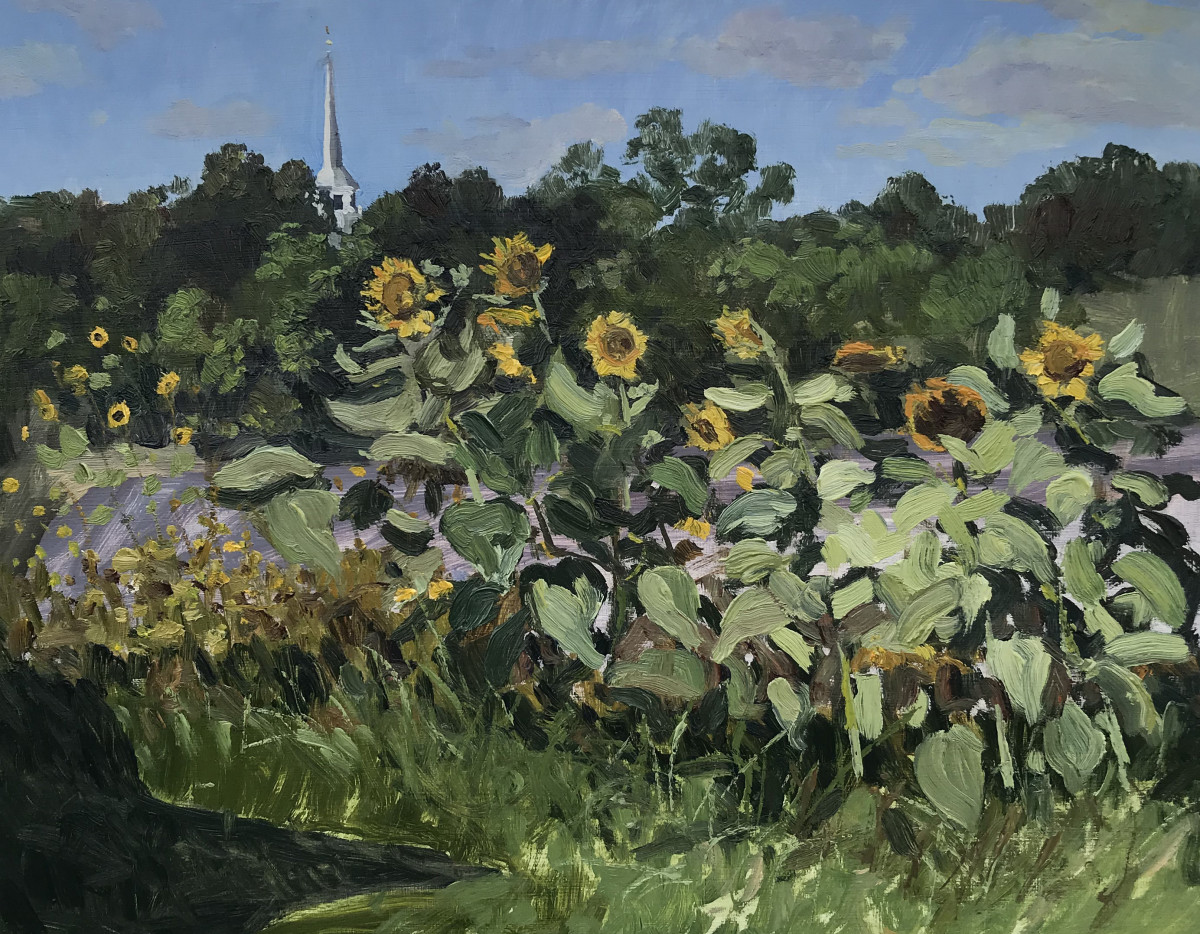 Groton Sunflowers by Mike MacLean Fine Art 