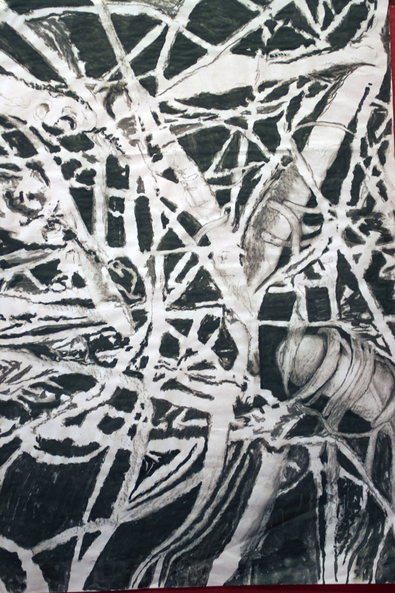 MAP-BRANCHES 2, Drawing by Beatriz Mejia-Krumbein 