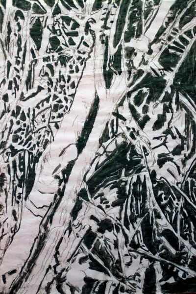 MAP-BRANCHES 3, Drawing by Beatriz Mejia-Krumbein 