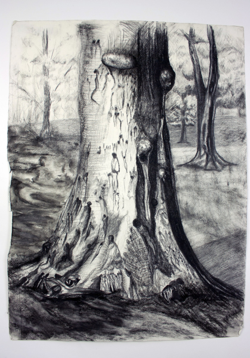 My Trees, my friends II, Drawing - Tree series by Beatriz Mejia-Krumbein 