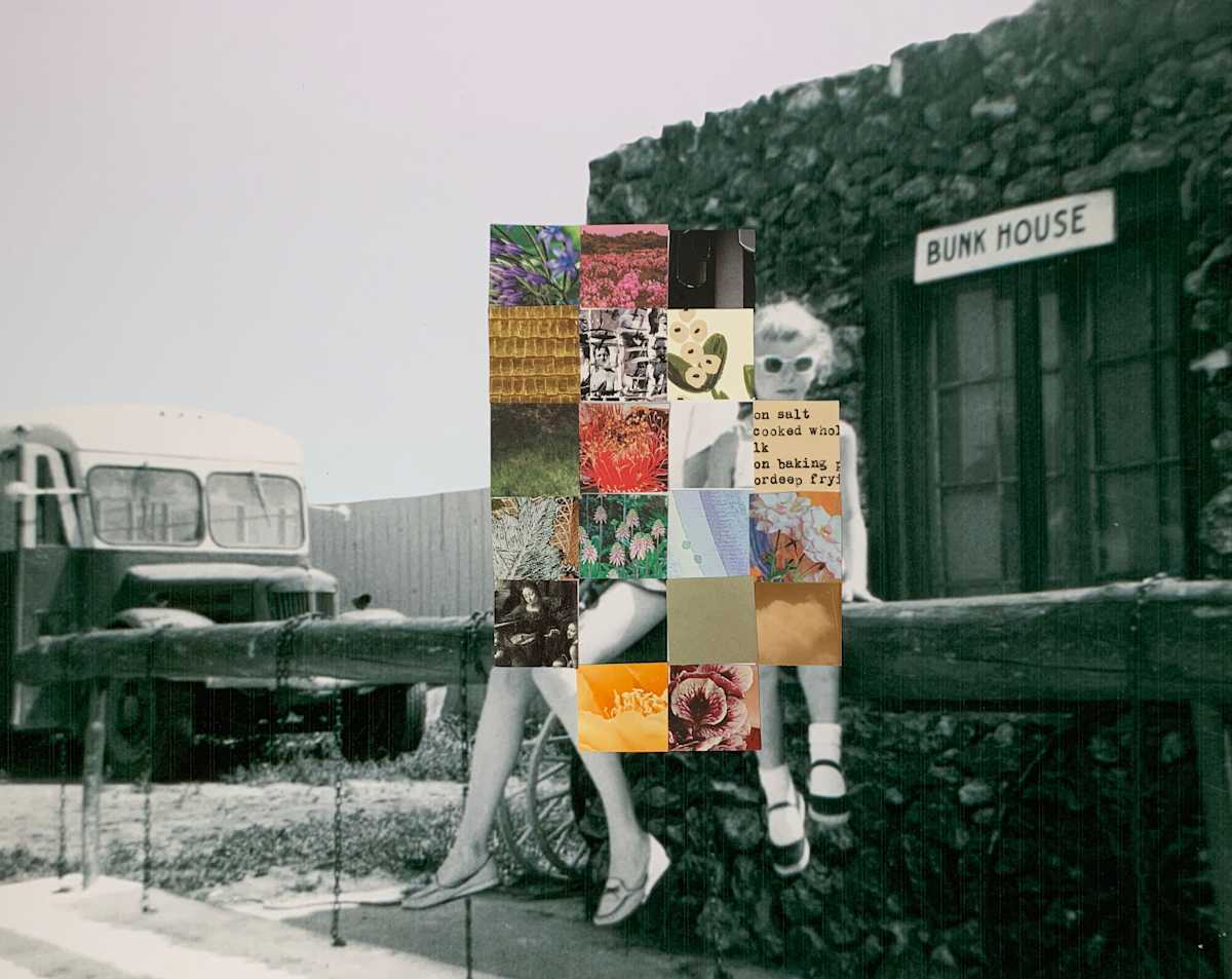 Memory Failure 114 by Emily Hoerdemann 