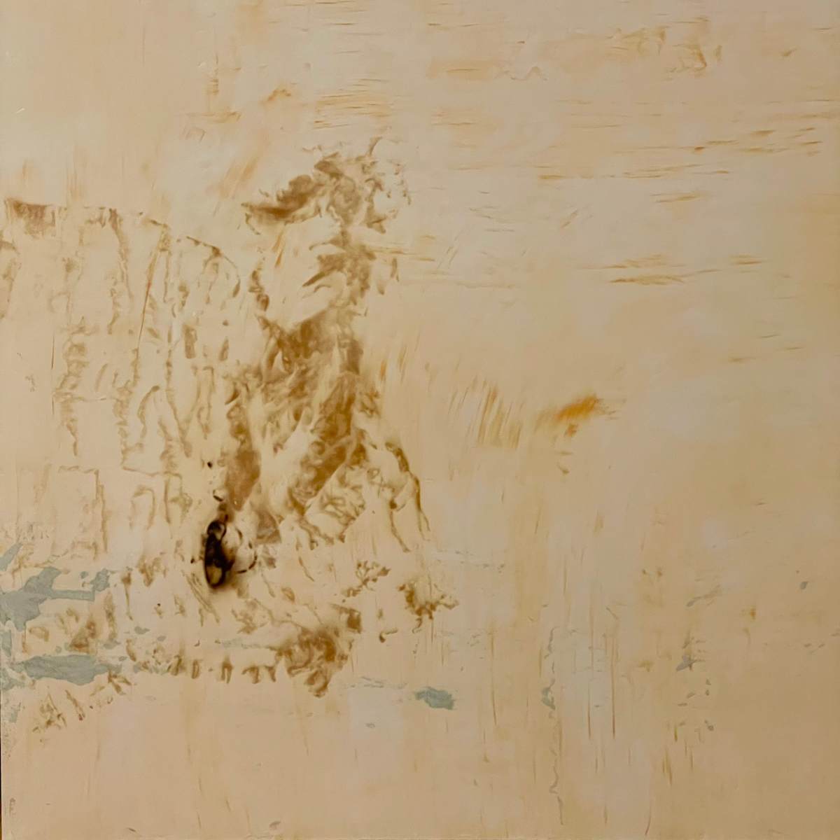 Prescribed Fire Performance, Diptych, 1 of 2 by Shelley Vanderbyl 