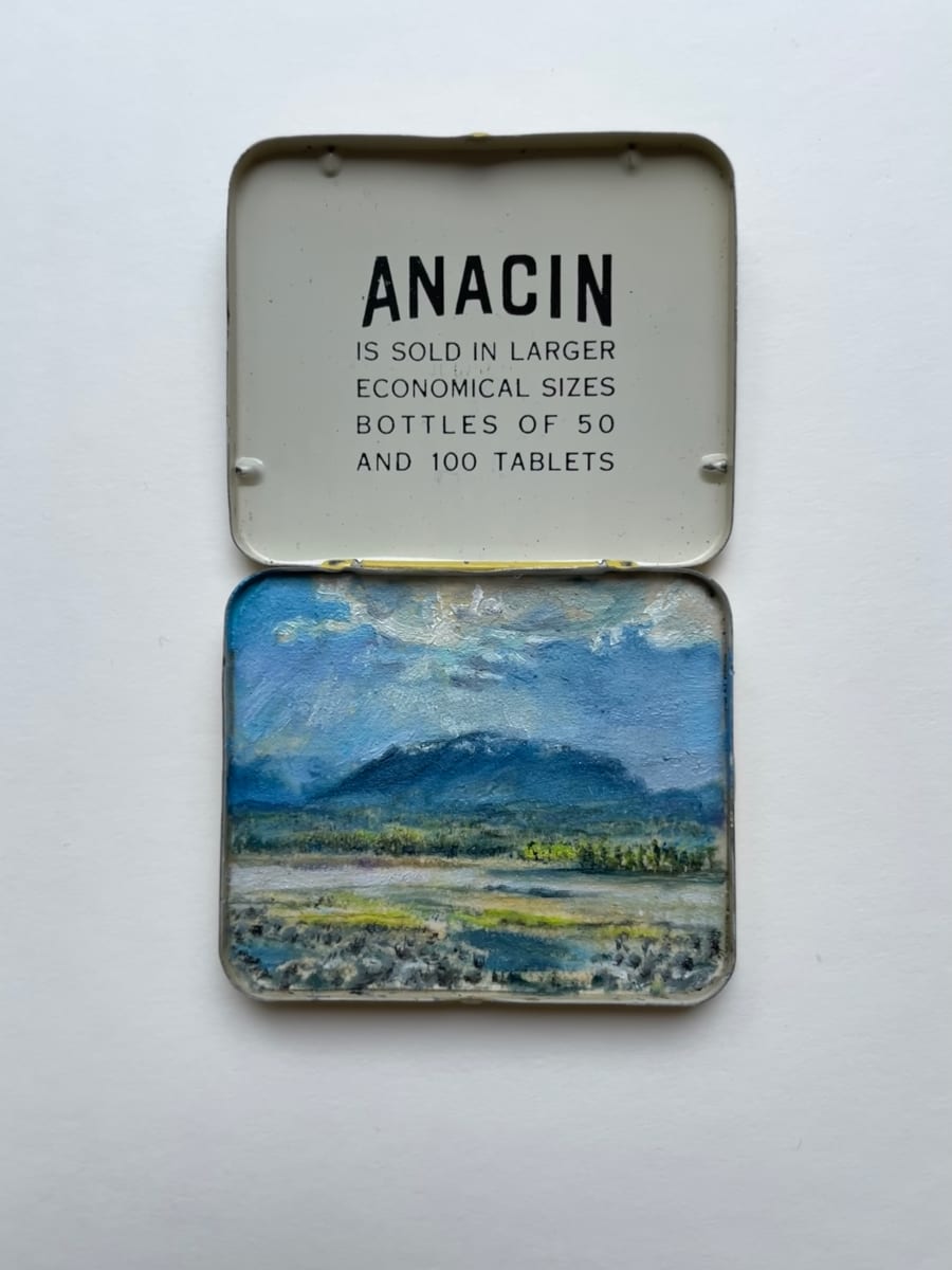 Fanny Bay, Anacin Tin by Shelley Vanderbyl 