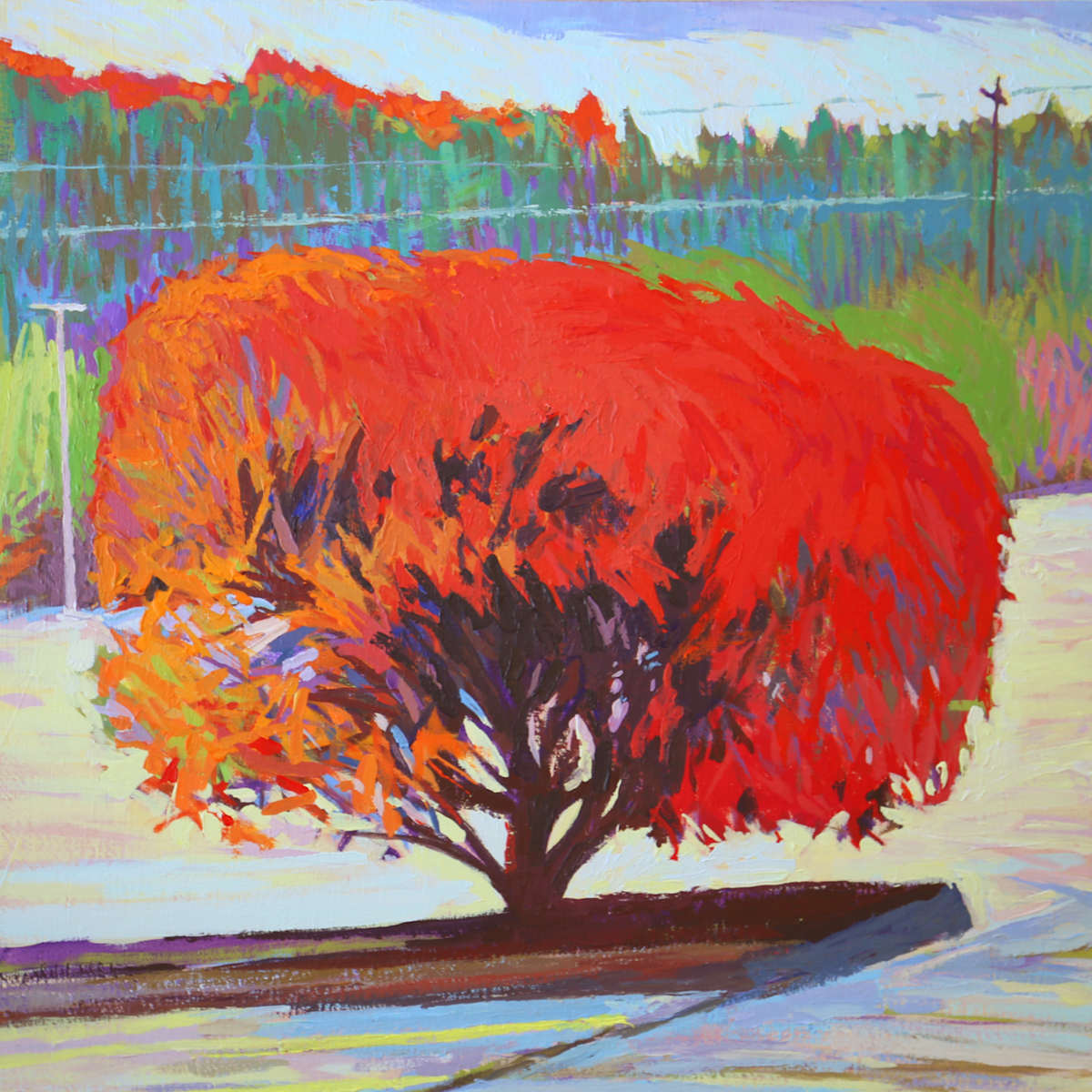 Burning Bush by Justin Shull Art Studio 