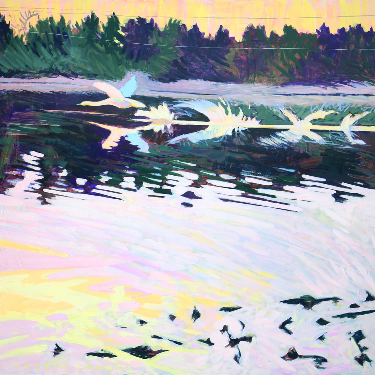 Swan Taking Flight by Justin Shull Art Studio 