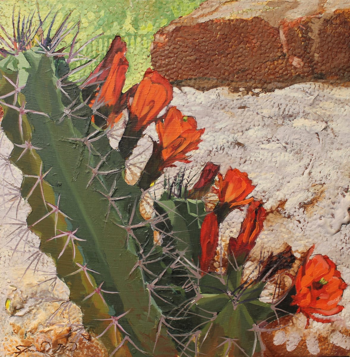 Cactus Diva by Jenna Lineweaver, Image 1.