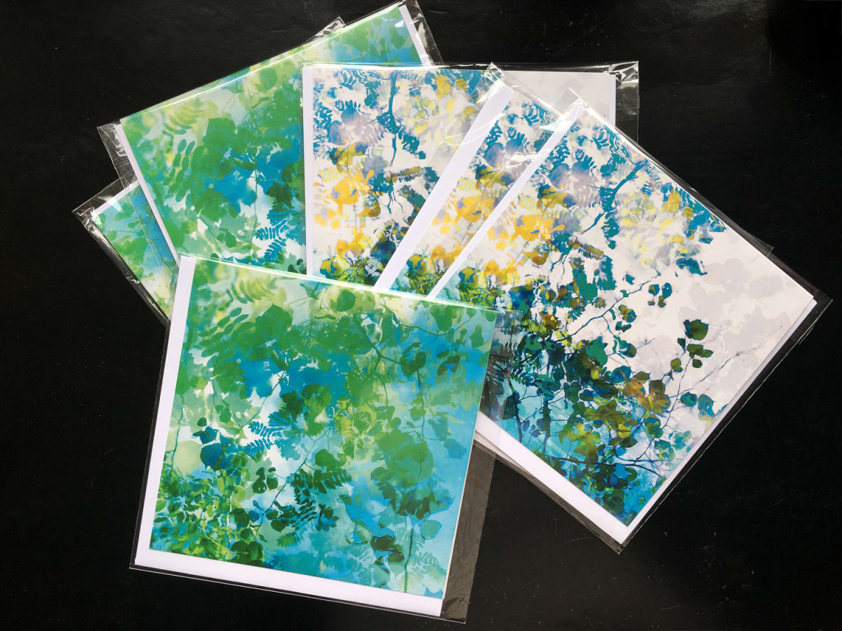 Rain dance card set ( 6 individually wrapped greeting cards) by caroline fraser 