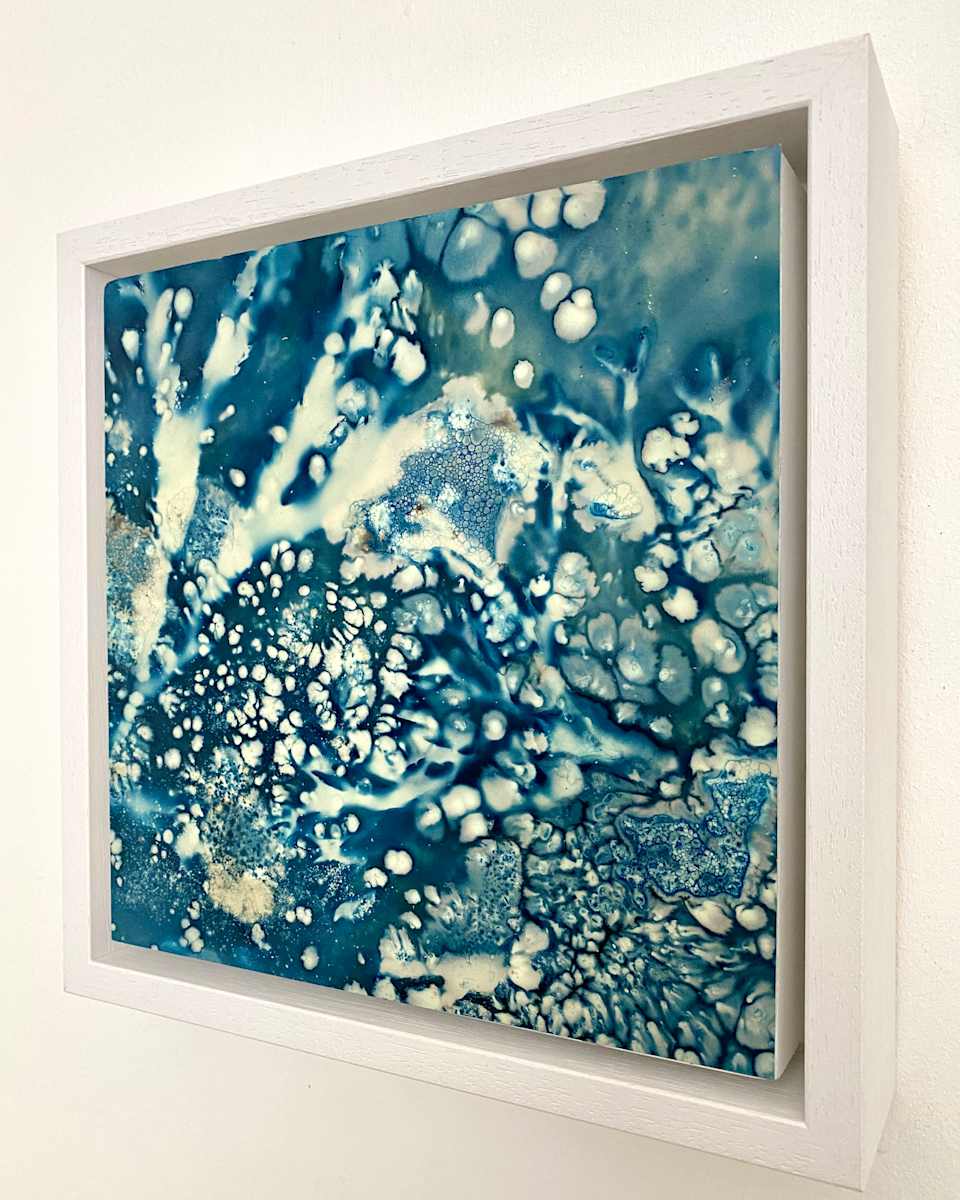 Reef Life (1/1) by Caroline Fraser 