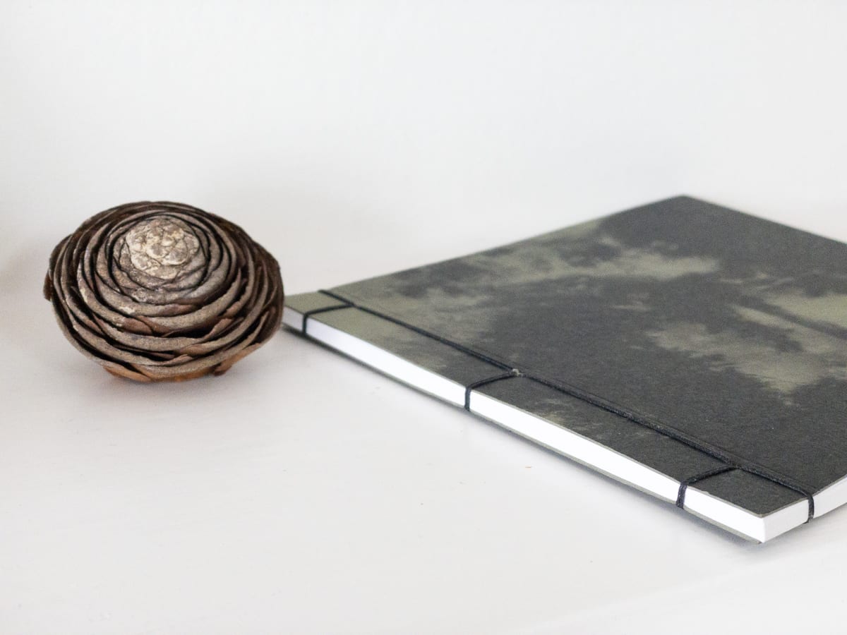 forest - second edition hand sewn book by Caroline Fraser 