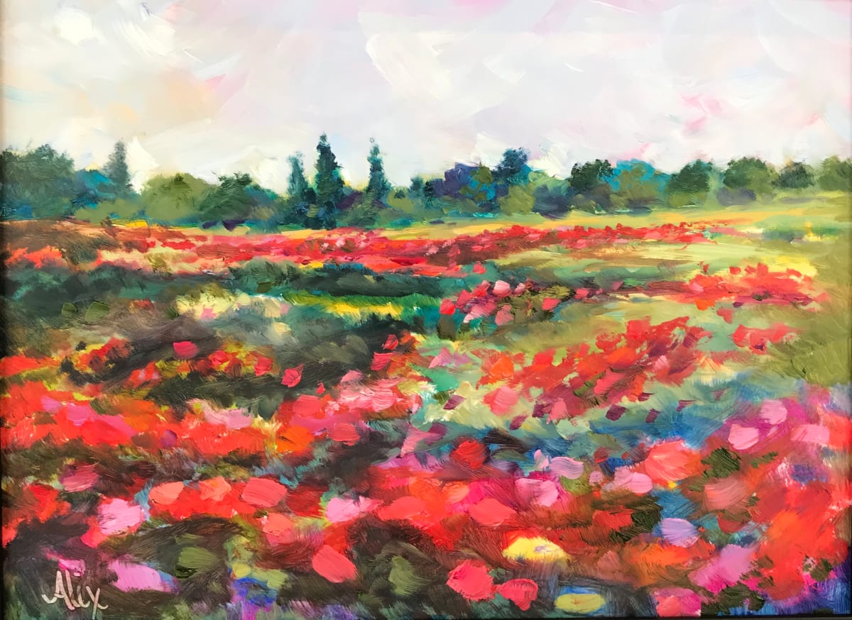 Poppies in the Valley by Alexandra Kassing 