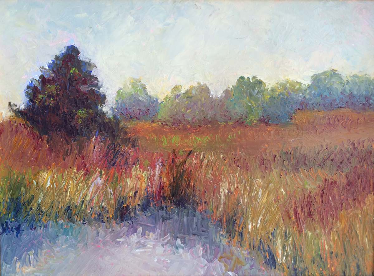 Ashley River Impressions 