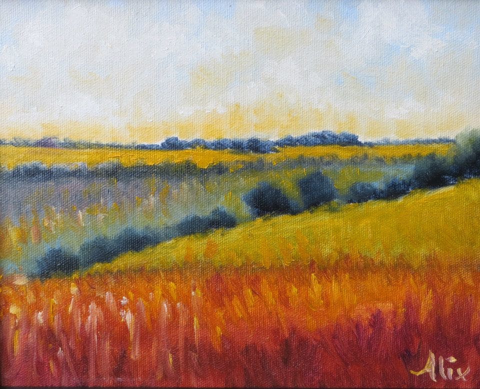 Color Fields by Alexandra Kassing 