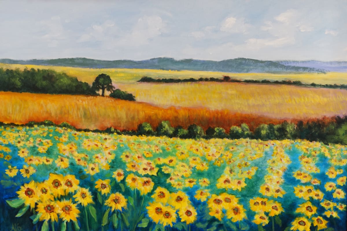 Golden Fields and Sunflowers by Alexandra Kassing 