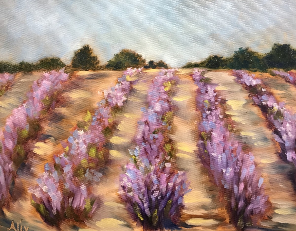 Lavender Rows by Alexandra Kassing 