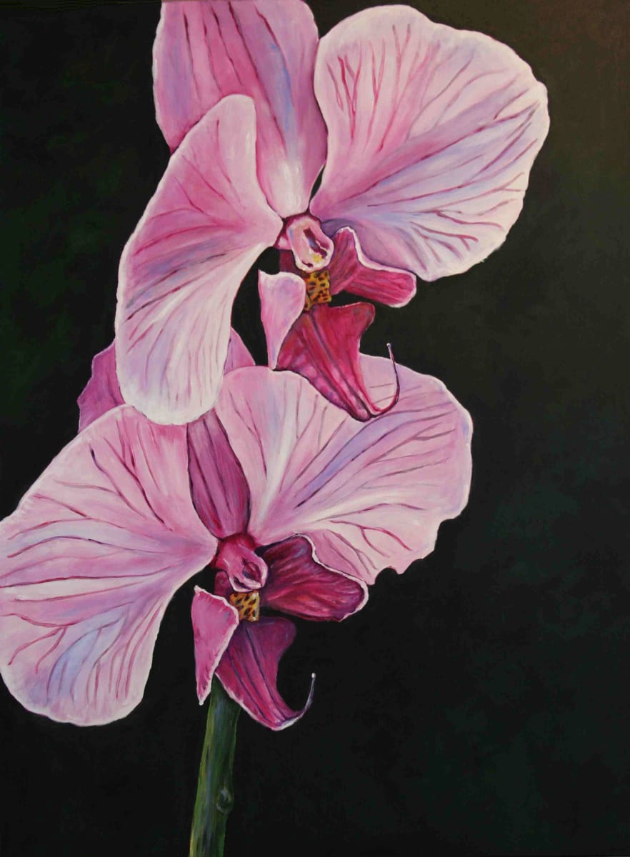 Lavender Phal Orchid by Alexandra Kassing 