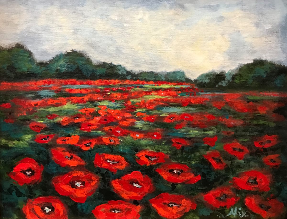 Poppies at First Light by Alexandra Kassing 