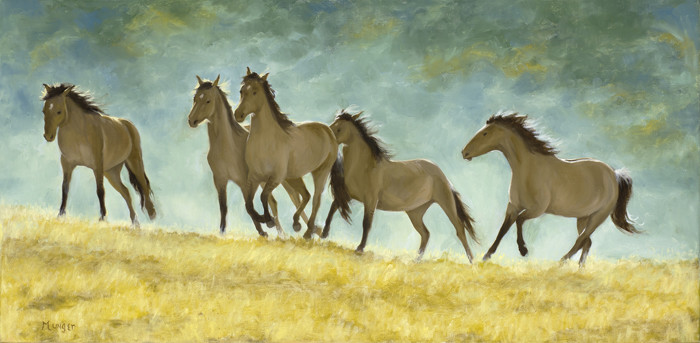 Race to the Top, Kiger Mustangs by Roseann Munger 