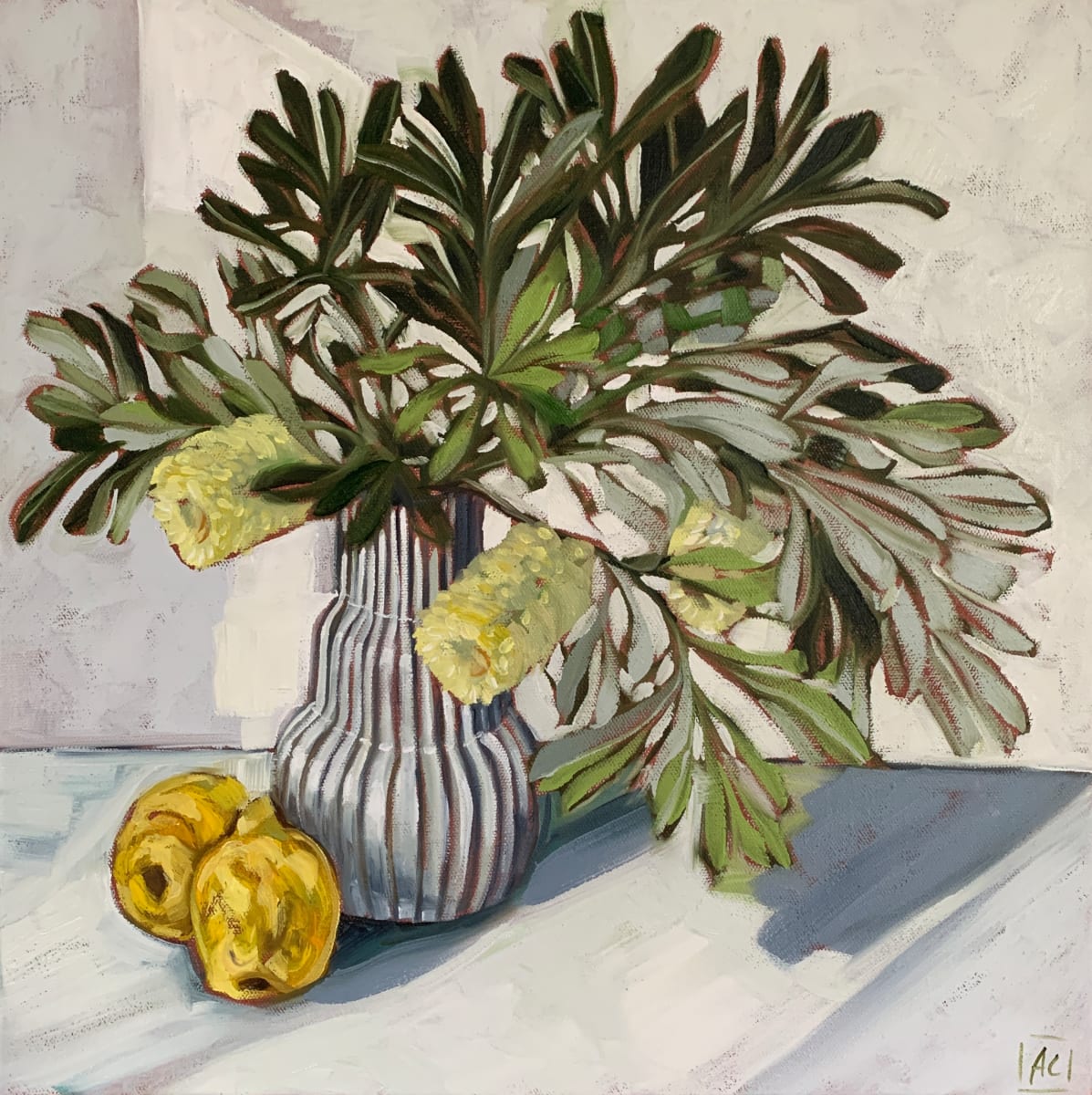 Quince and Banksia by Alicia Cornwell 