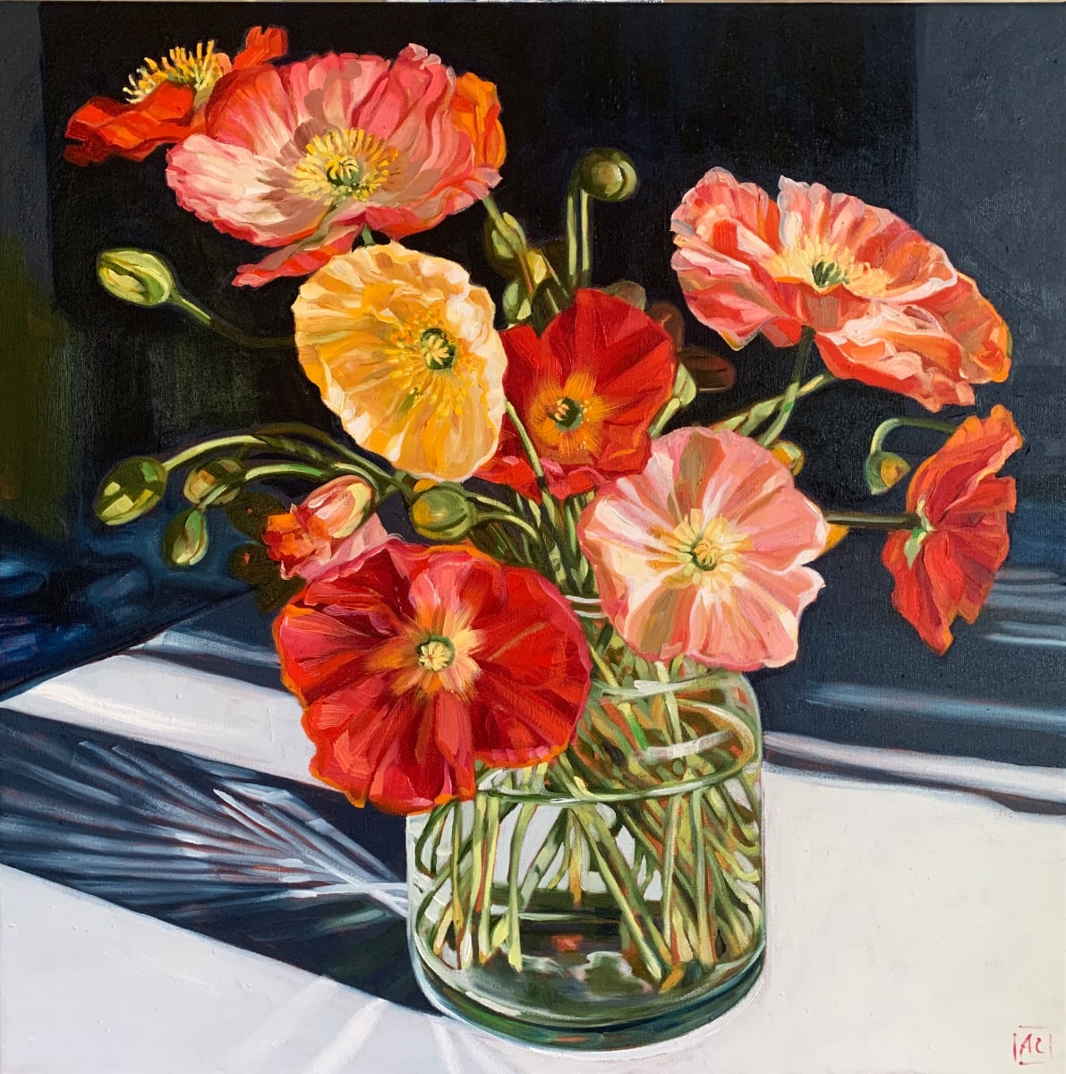 Poppies and Sunlight by Alicia Cornwell 