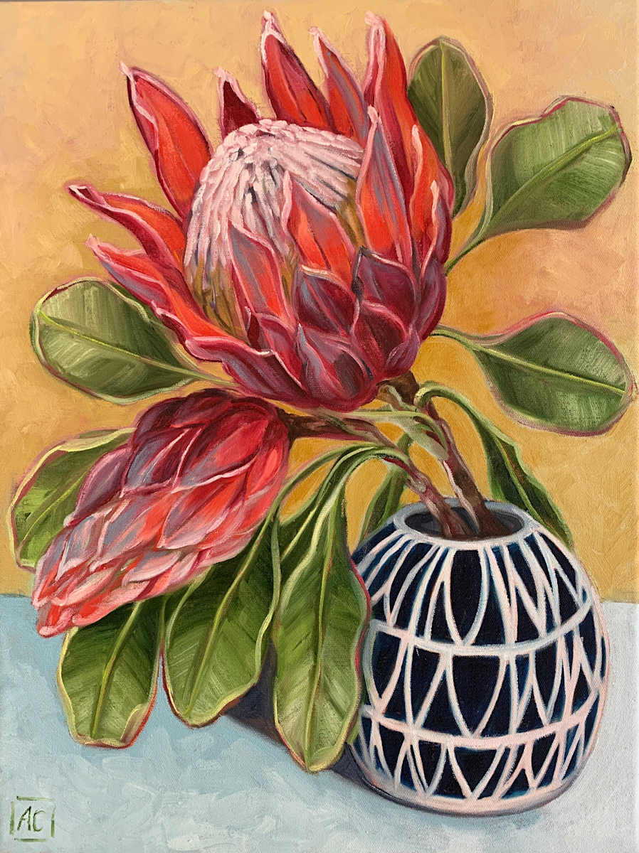 Protea in blue vase by Alicia Cornwell 