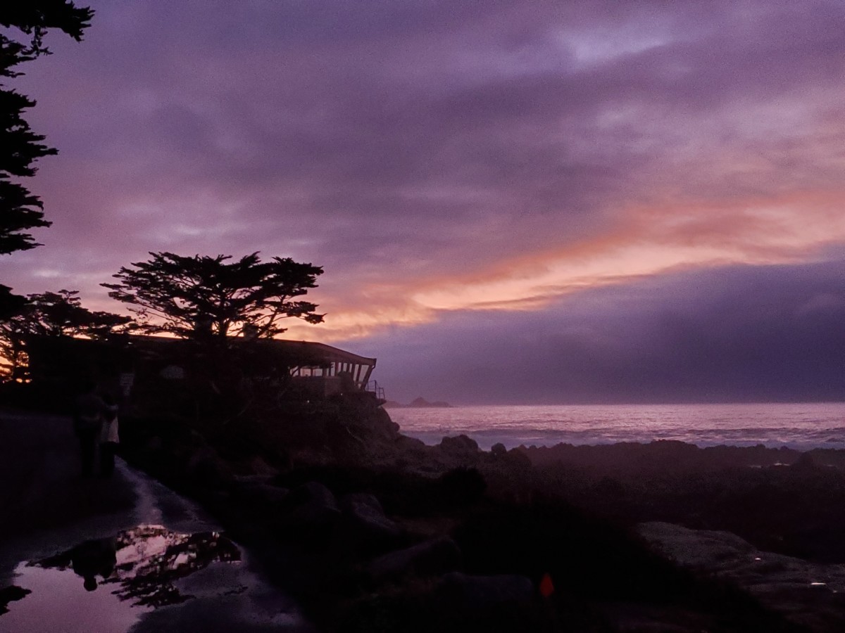 Carmel Purple Haze by Lori Thompson 