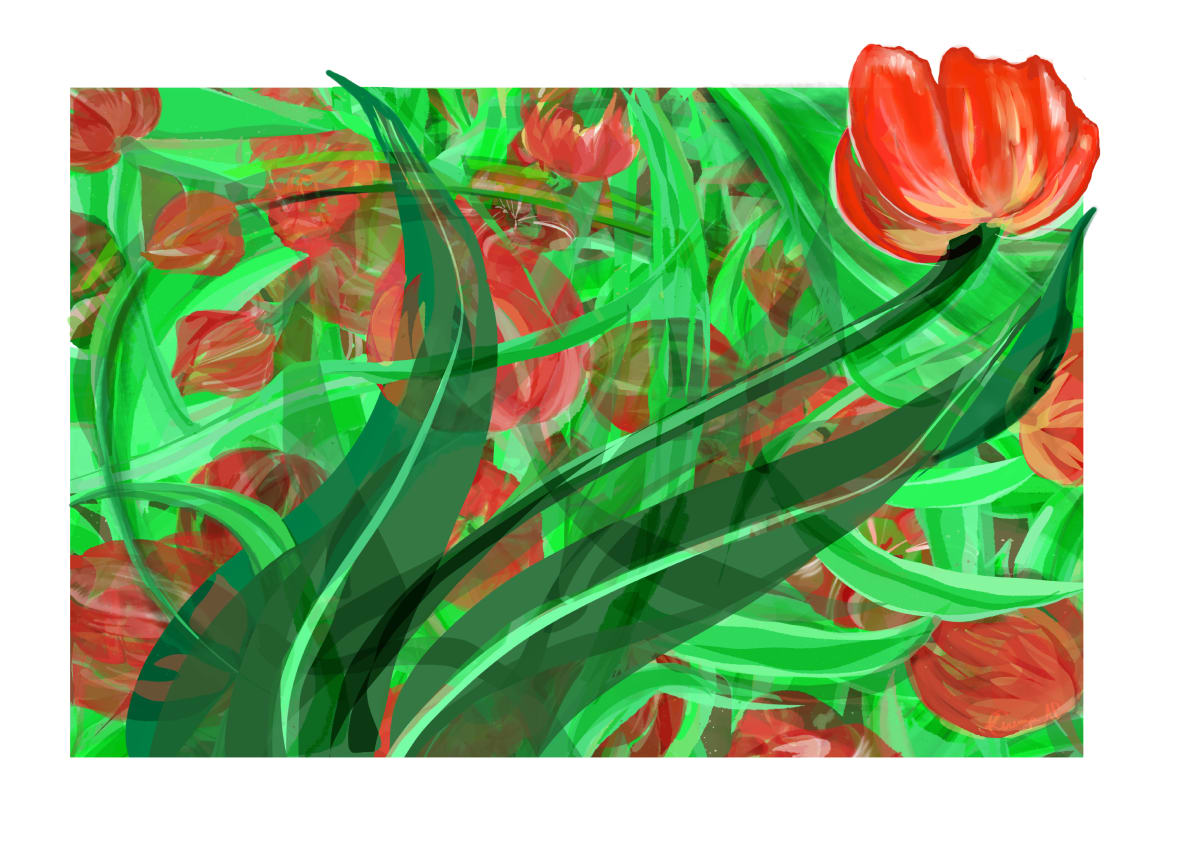 Tulips by Lisa Cirenza 