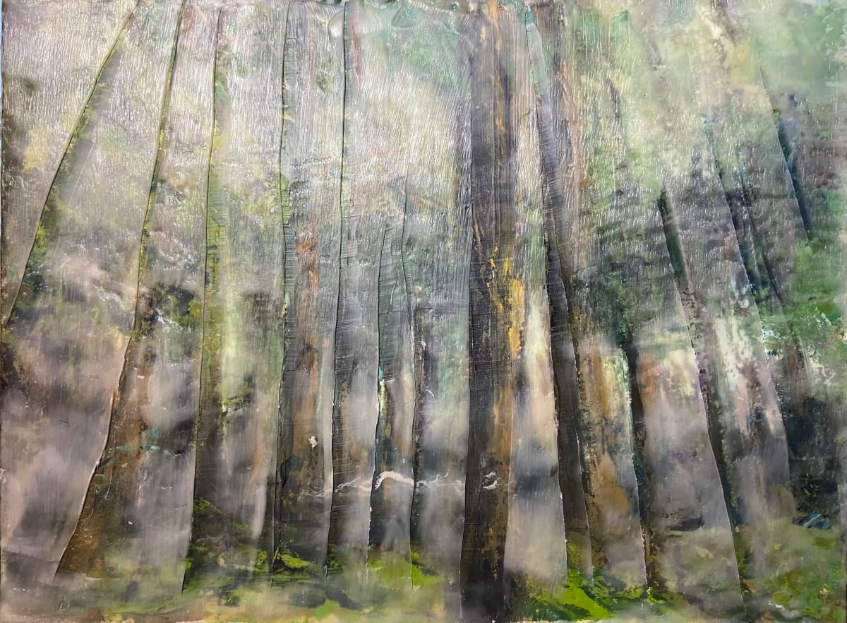 Finding the Forest by Lisa Cirenza 