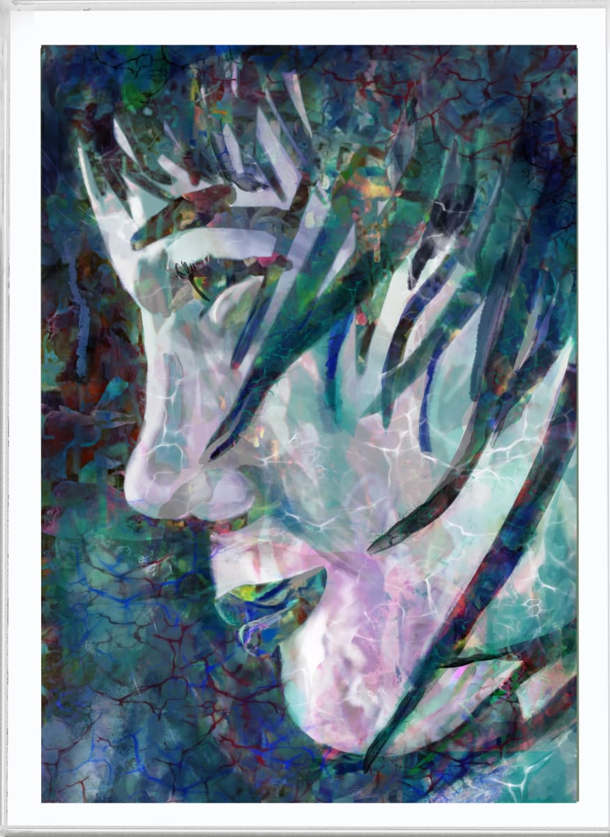 Talking to the Wild by Lisa Cirenza 