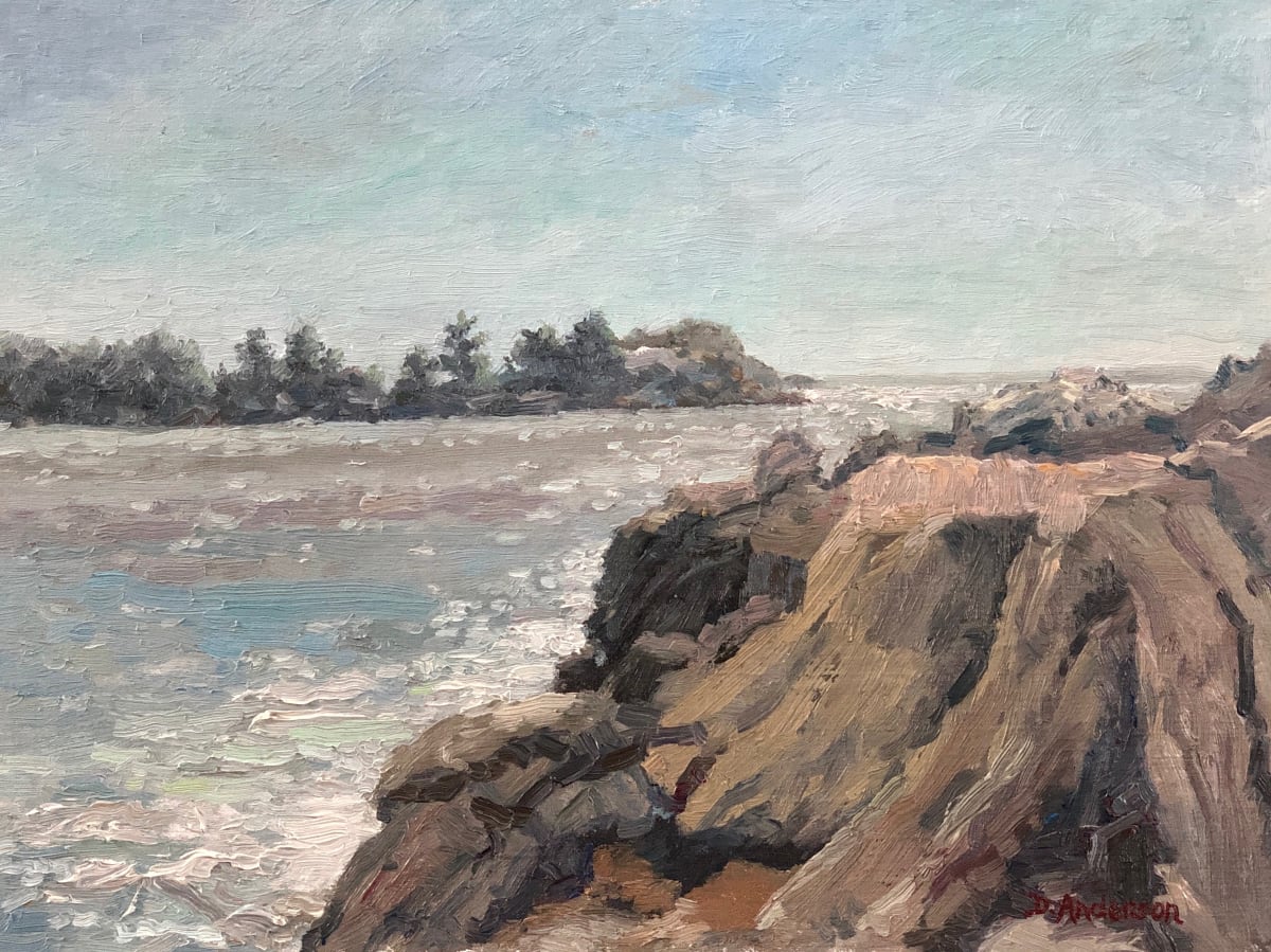 Indian Point, Georgetown by Dianna Anderson, Image 1.