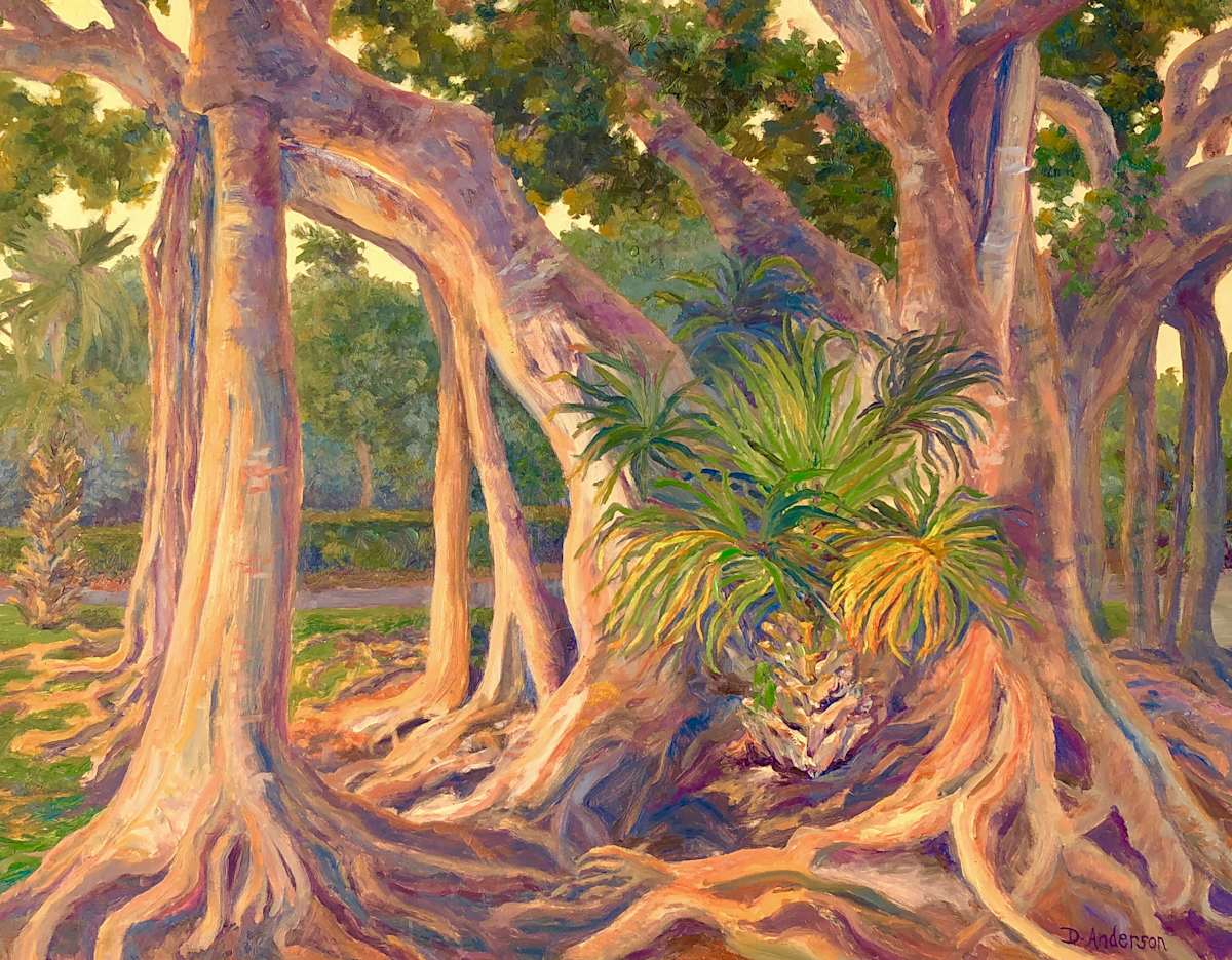 Old Naples Banyan by Dianna Anderson, Image 1.