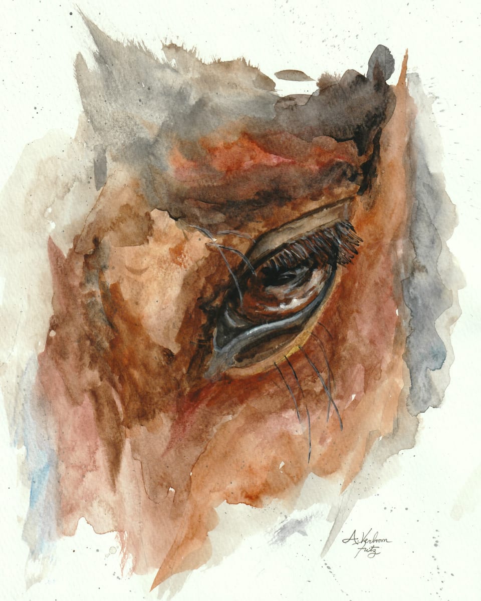 Horse Eye Study 4 by Alexandra Verboom Fritz 