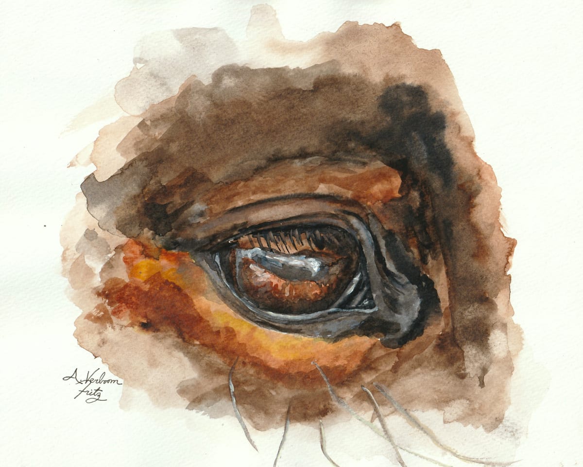 Horse Eye Study 1 by Alexandra Verboom Fritz  Image: ‘Horse Eye Study 1’ is an original watercolour painting by Alexandra Verboom Fritz. This piece was part of a miniseries of 4 paintings each studying the horse’s eye. 