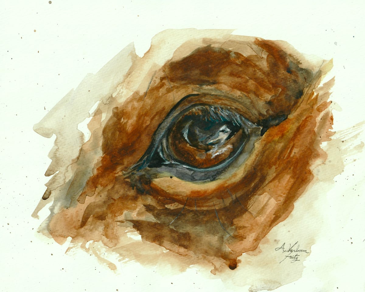 Horse Eye Study 3 by Alexandra Verboom Fritz  Image: ‘Horse Eye Study 3’ is an original watercolour painting by Alexandra Verboom Fritz. This piece was part of a miniseries of 4 paintings each studying the horse’s eye. 