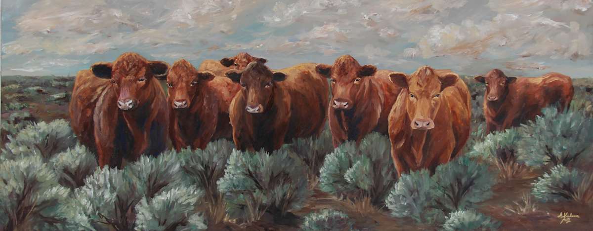 Red Heifers in Sage by Alexandra Verboom Fritz  Image: I