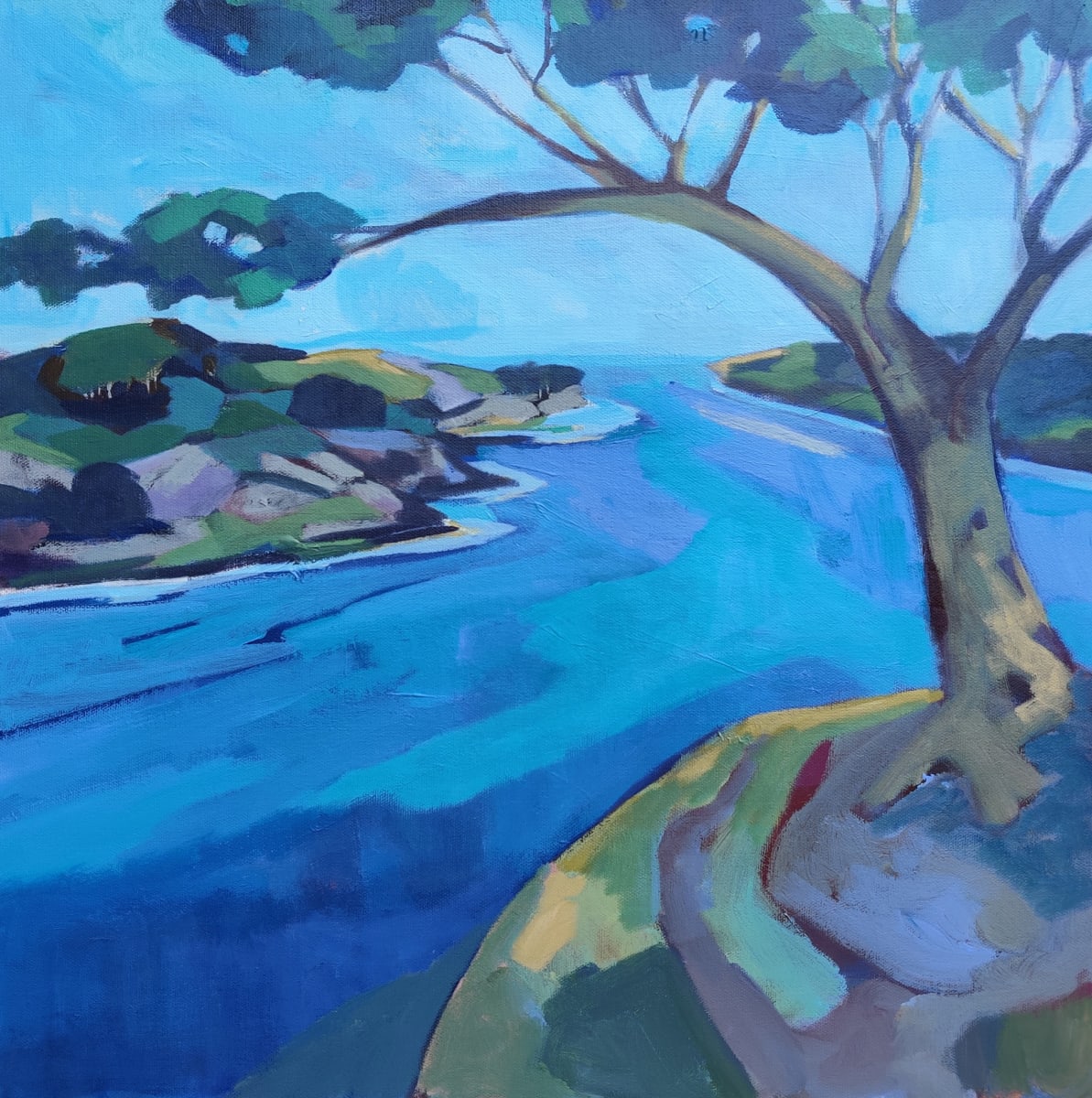 Point Lobos Inlet by Stephanie Maclean 