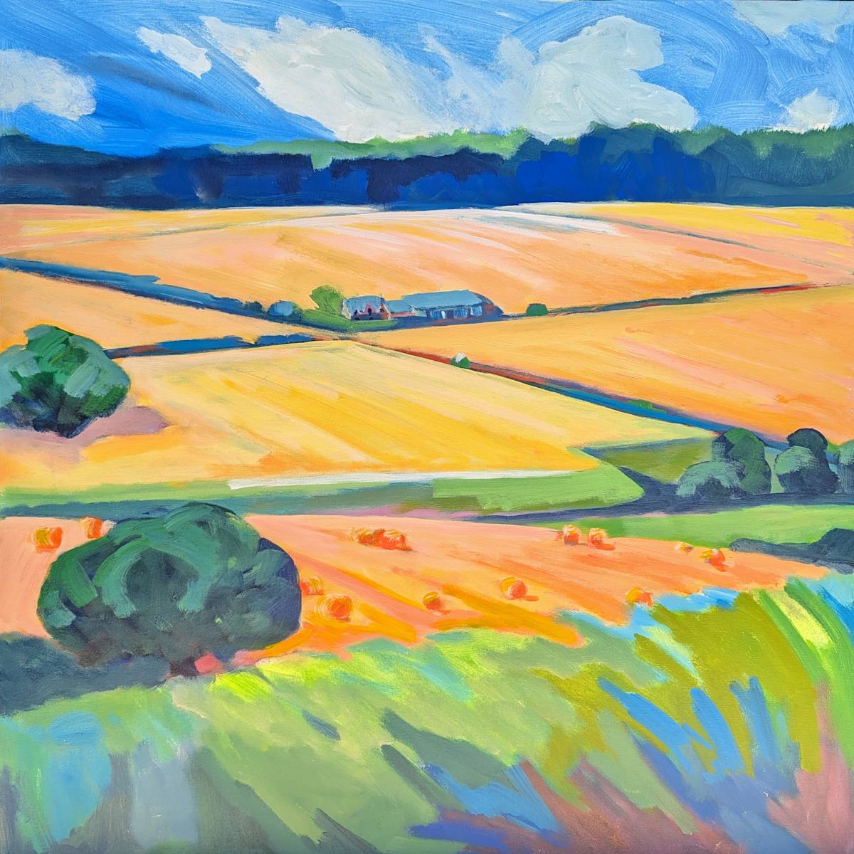 West View Fields by Stephanie Maclean, Image 1.