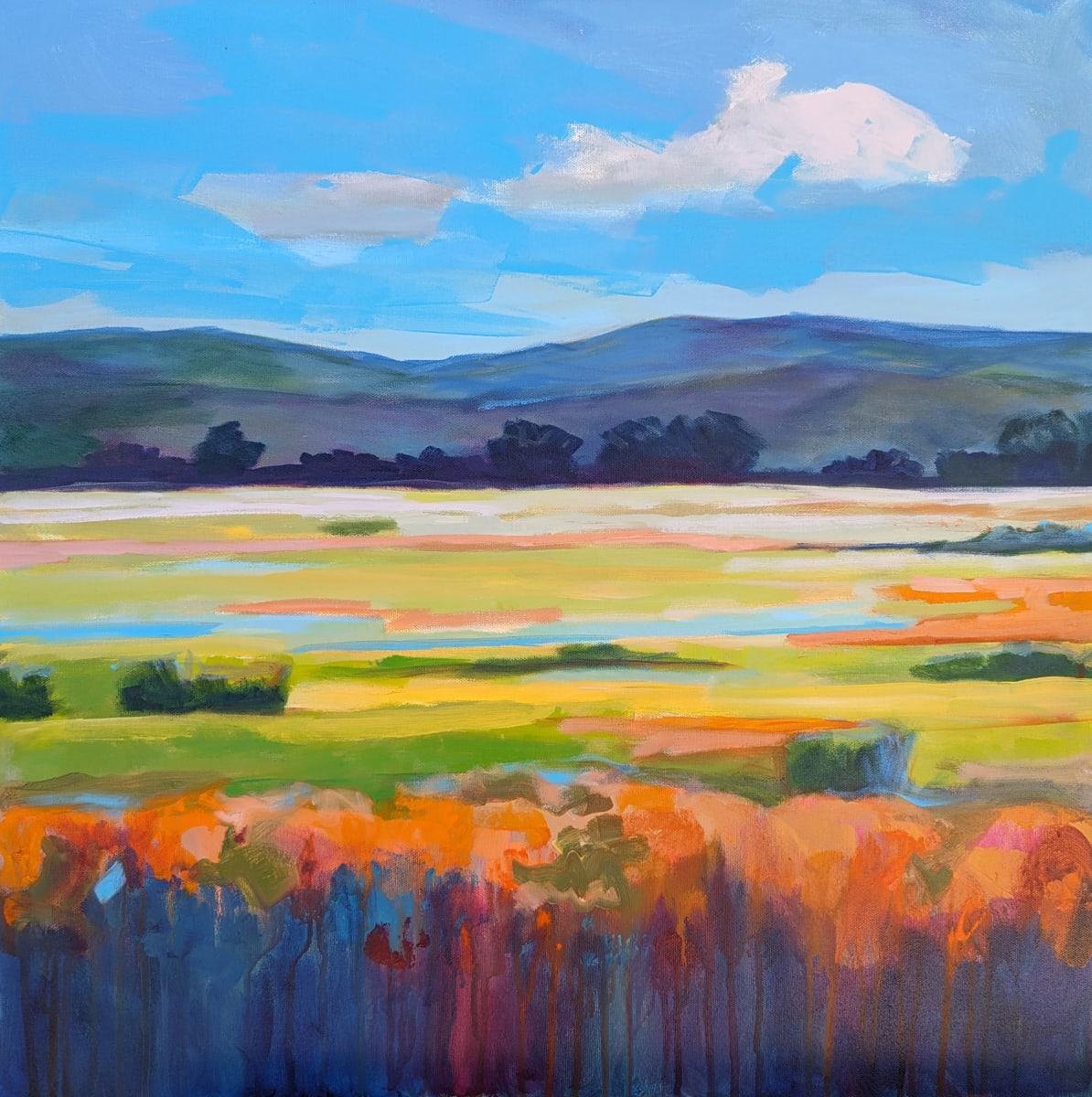 Cottonwood View by Stephanie Maclean 